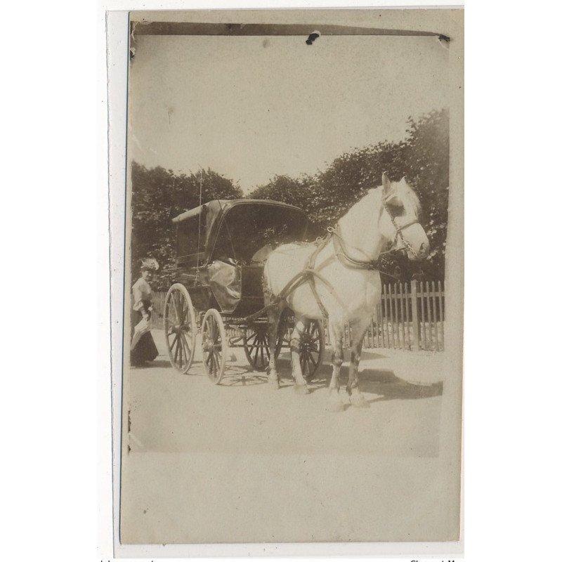 CARTE PHOTO A LOCALISER : attelage - tres bon etat