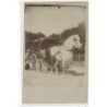 CARTE PHOTO A LOCALISER : attelage - tres bon etat