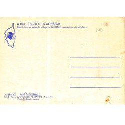 GHISONI : blotti dans la vallée le village de ghisoni poursuit sa vie séculaire - tres bon etat