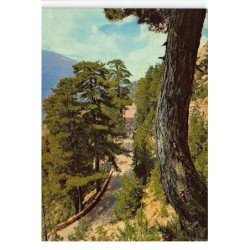 GHISONI : col de sorba, route de montagne aux abrupts impressionnants - tres bon etat