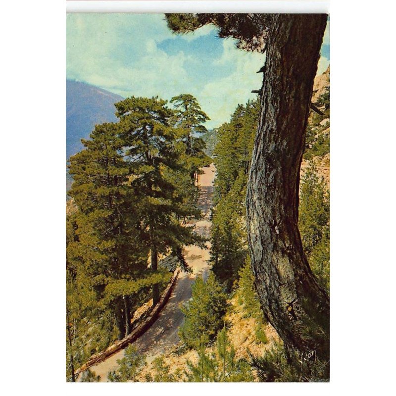 GHISONI : col de sorba, route de montagne aux abrupts impressionnants - tres bon etat