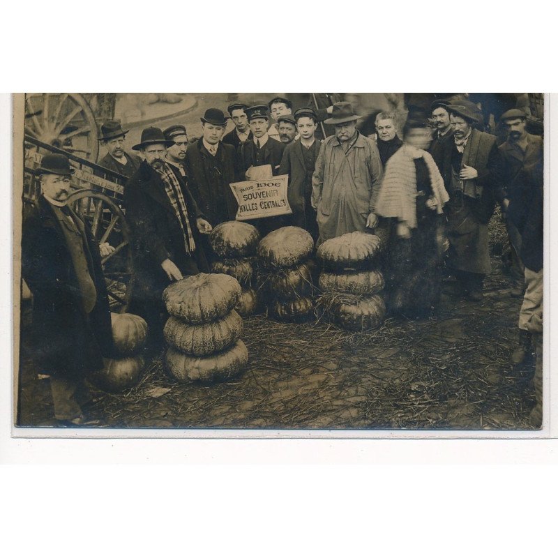PARIS : les halles, citrouilles - tres bon etat