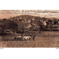 MAUTES : vue generale, attelage boeufs - tres bon etat