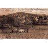 MAUTES : vue generale, attelage boeufs - tres bon etat