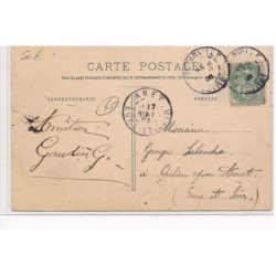 environs PITHIVIERS-en-GATINAIS : la recolte du safran, la cueillette de la fleur - tres bon etat