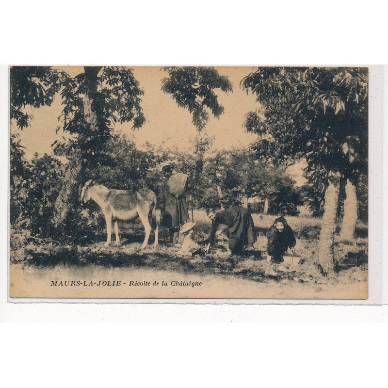 MAURS-la-JOLIE : recolte de la chataigne - etat