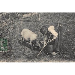 PERIGUEUX : deux périgords trouvant la truffe (cochon truffier) - très bon état