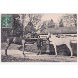 BERNAY : écuries de Menneval en 1907 (poney gris et ponette ) - très bon état