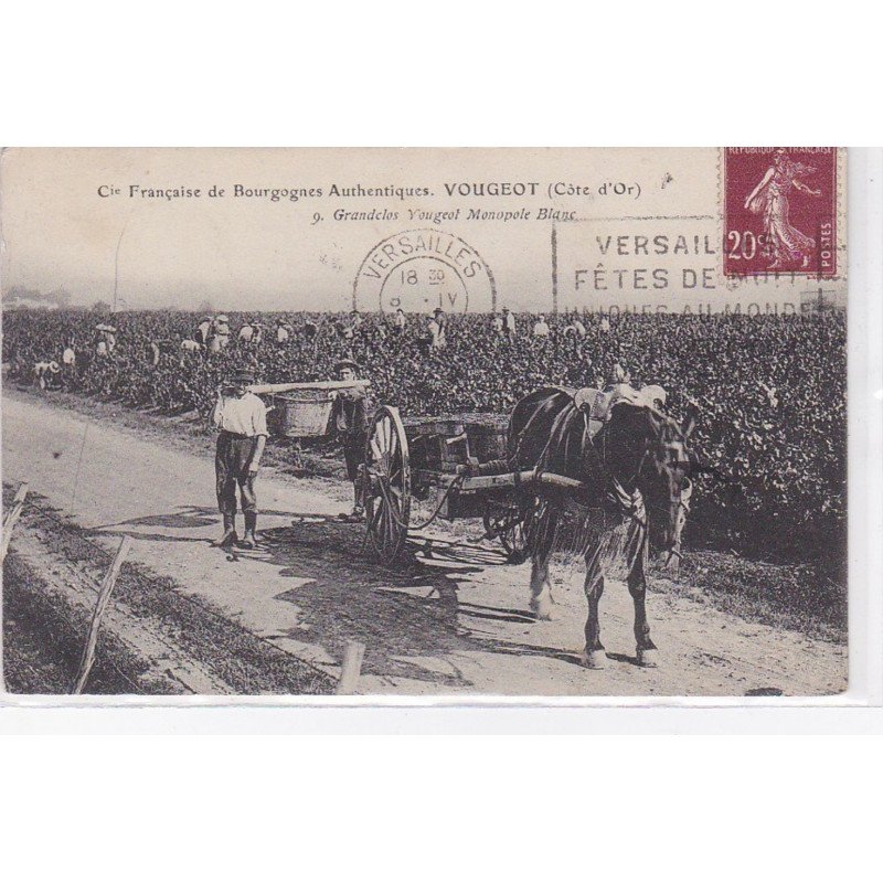 VOUGEOT : compagnie française de Bourgognes Authentiques - grandclos Vougeot (vendanges - vins)- très bon état