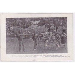 BRETAGNE HIPPIQUE : Fanny (environs de LOUDEAC - LANDIVISIAU - BREST) - très bon état