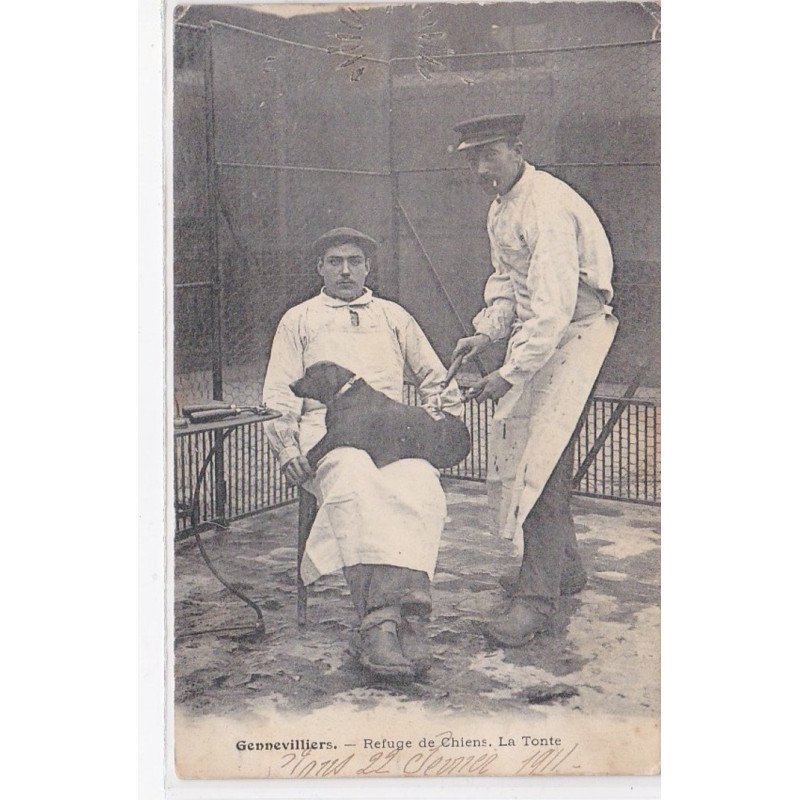 GENNEVILLIERS : refuge de chiens - la tonte - état