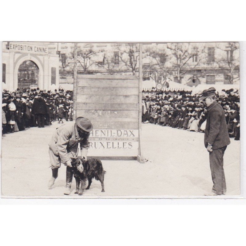 LYON : photo format cpa - chiens de police (dressage en 1948) - très bon état