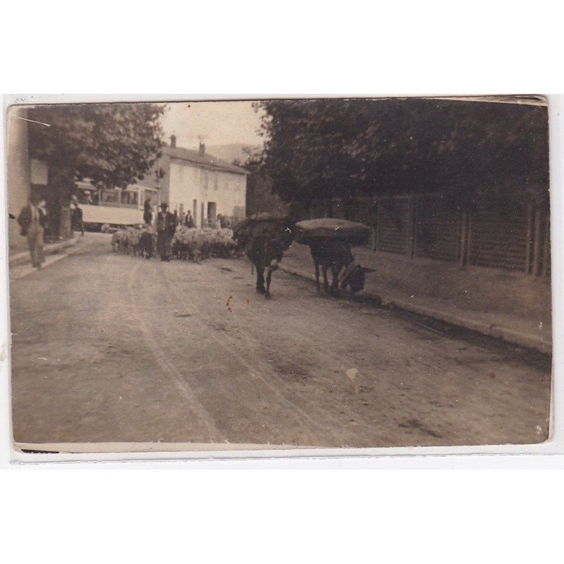 LANDES ou PYRENNEES ATLANTIQUES : carte photo d'un berger (tramway) - très bon état