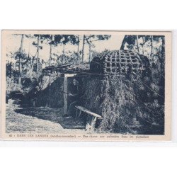 DANS LES LANDES : une chasse aux palombes dans les pignadars (octobre - novembre) - très  bon état