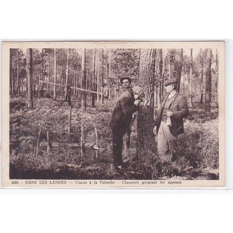 DANS LES LANDES : chasse à la palombe - chasseurs gorgeant les appeaux - état