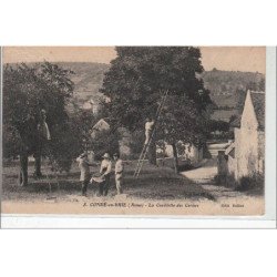 CONDE EN BRIE : la cueillette des cerises -  état