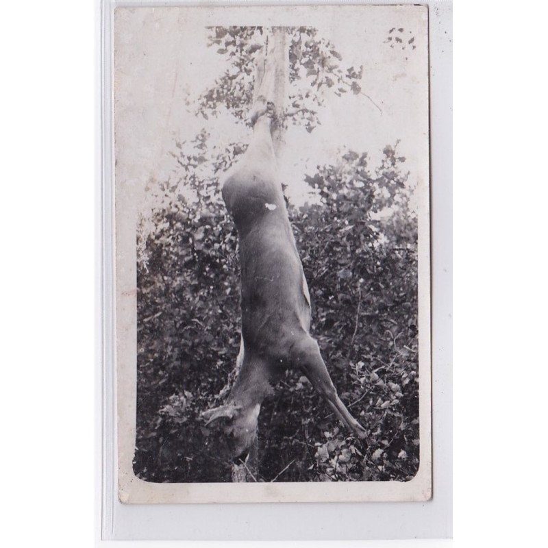 JURA : carte photo d'une chasse au bois de Chatillon en 1934 - très bon état