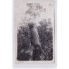JURA : carte photo d'une chasse au bois de Chatillon en 1934 - très bon état