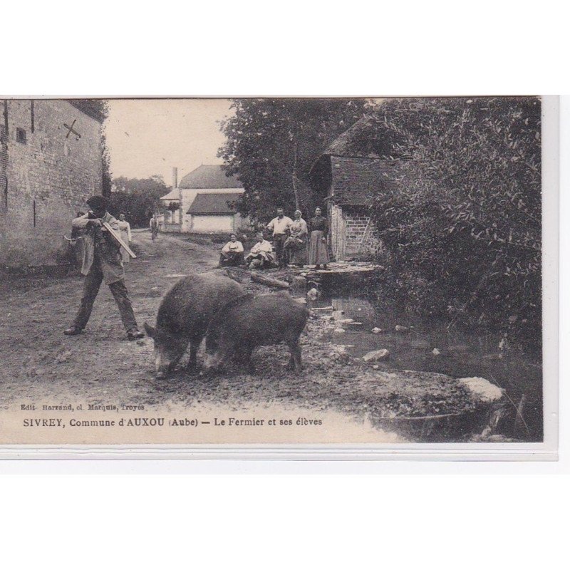 SIVREY , commune d'Auxou : le fermier et ses élèves (chasse au sanglier)- très bon état
