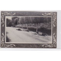 VARREDDES : 1914/18 - carte photo de chevaux allemands tués et brulés (militaire - guerre) - très bon état