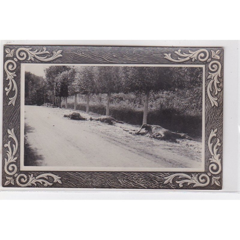 VARREDDES : 1914/18 - carte photo de chevaux allemands tués et brulés (militaire - guerre) - très bon état