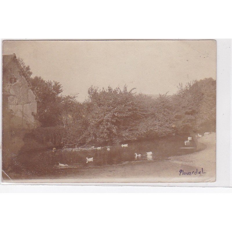 PLOUARDEL (PLOUARZEL) : carte photo - état