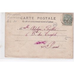 PLOUARDEL (PLOUARZEL) : carte photo - état