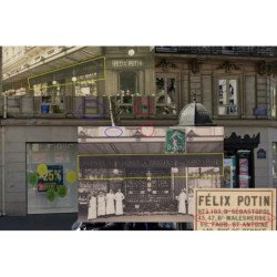 PARIS 8ème : carte photo d'un magasin Felix POTIN au 47 boulevard de Maleserbes - très bon état