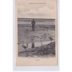 LA CHASSE EN BAIE DE SOMME : hérons - très bon état