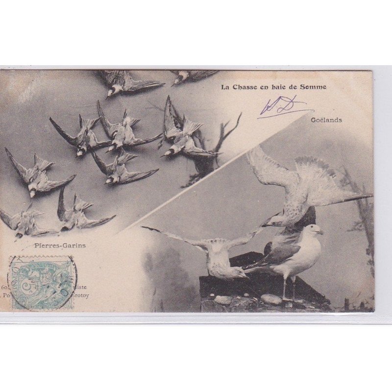 LA CHASSE EN BAIE DE SOMME goëlands et Pierre-Garins - très bon état