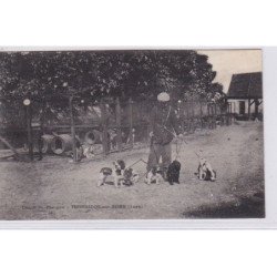 TOURNEDOS SUR SEINE : le chenil de Pampou (chien de chasse) - très bon état