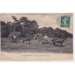 SAINT JULIEN EN BORN : faneurs du domaine de Contis - bon état