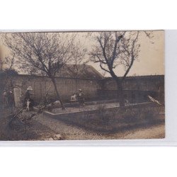 Chateau de SAINT AVIT : carte photo "le chenil" (chiens de chasse) - très bon état