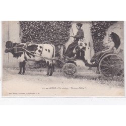 ARIEGE : un attelage "nouveau siècle" - très bon état