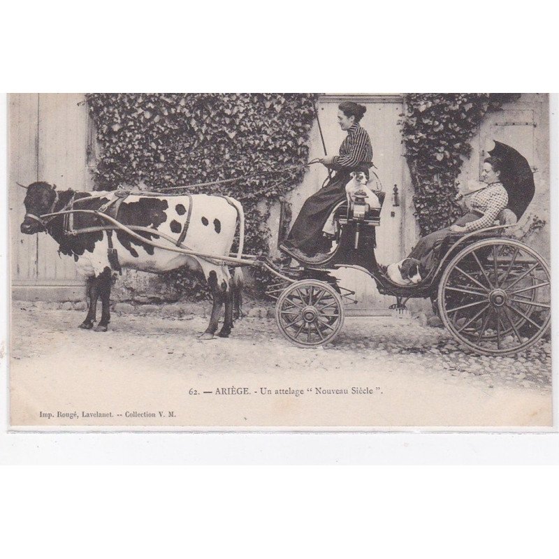ARIEGE : un attelage "nouveau siècle" - très bon état