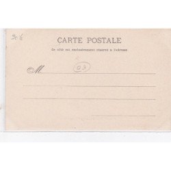 ARIEGE : un attelage "nouveau siècle" - très bon état