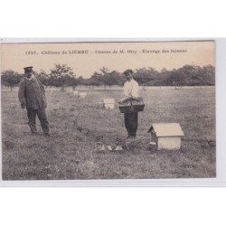 Chateau de LIERRU - chasse de mr. OLRY - élevage des faisans (chasse) - très bon état