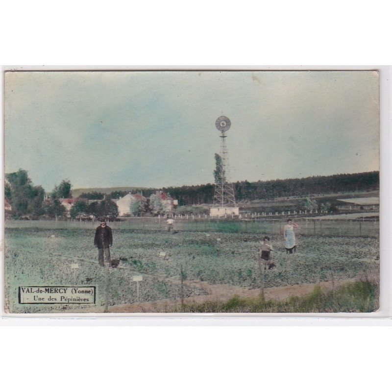VAL DE MERCY : vue d'une des pépinières (éolienne) - bon état (un petit pli d'angle)