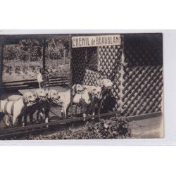 LIMOGES : carte photo du chenil de BEAUBLANC (chien de chasse) - très bon état