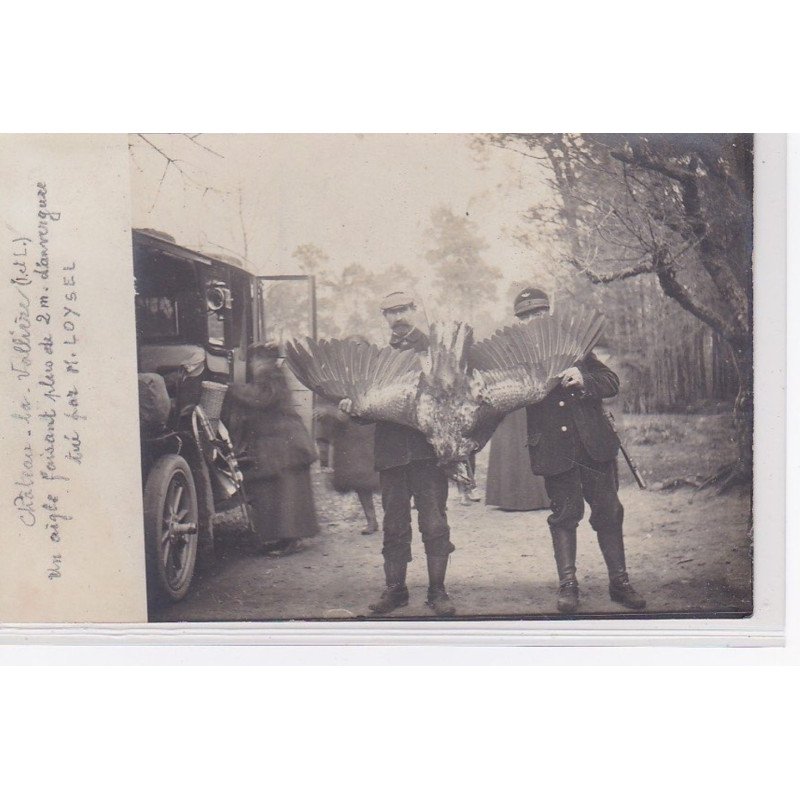 CHATEAU LA VALLIERE : carte photo d'un aigle tué par mr LOYSEL (très rare en carte photo) - très bon état