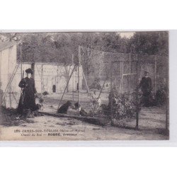 LES ORMES SUR VOULZIE : chenil du Sve - ROBBE dresseur - très bon état
