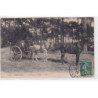 ARCACHON : lot de 2 cartes photo et d'une cpa - voiture à sable et attelage) - état