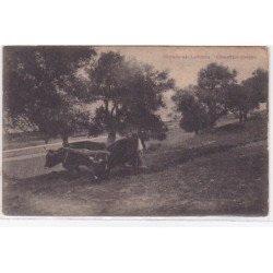 Boeufs au labour - charrue Corse (éditeur ALFONSI) - très bon état