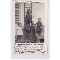 RIEUPEROUX (montagne de Lhomme) : carte photo d'un retour de chasse en 1911 - état