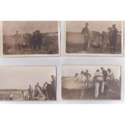 BRUYS : lot de 7 cartes photo "autopsie d'un cheval mort pendant la première guerre mondiale (vétérinaire) très bon état