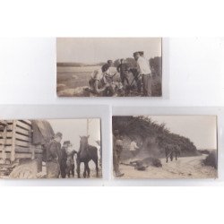 BRUYS : lot de 7 cartes photo "autopsie d'un cheval mort pendant la première guerre mondiale (vétérinaire) très bon état