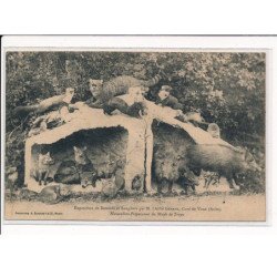 Exposition de Renards et Sangliers par M. l'Abbé Gérard, Curé de VOUE - très bon état