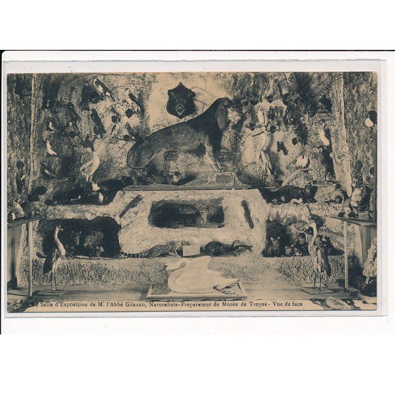 Salle d'Exposition de M. l'Abbé Gérard, Naturaliste-préparateur du Musée de Troyes, Vue de face - très bon état