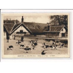 MENETREOL-SUR-SAULDRE : Château de la Faye, le Chenil - très bon état