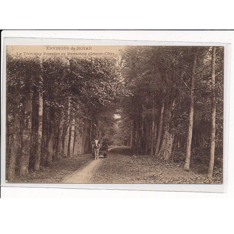 Environs de Royan : Le Tramway Forestier au Barrachois - très bon état